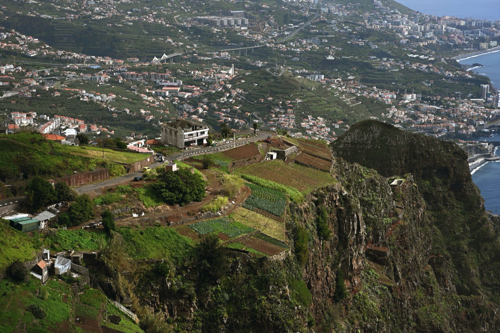 Terraced vegetable plots and a coast road perched on the edge of a sheer cliff above the Atlantic, with Câmara de Lobos and Funchal running away along the shore behind.